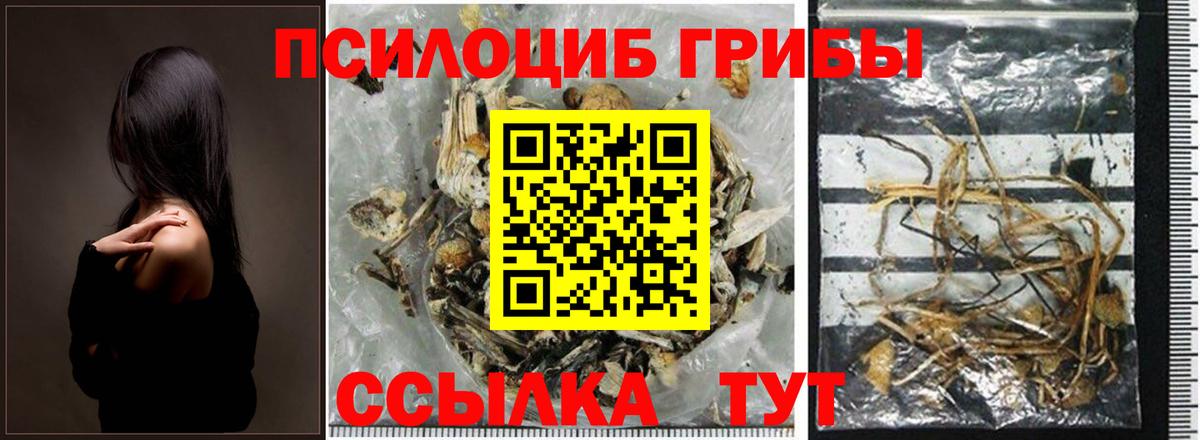 Меф мяу мяу Кропоткин