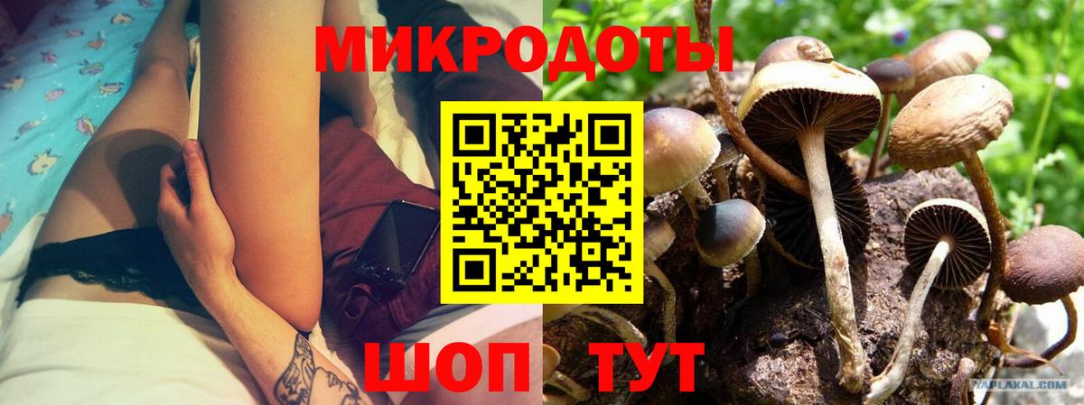 Псилоцибиновые грибы Magic Shrooms  Галлюциногенные грибы мухоморы  Вход с VPN  Кропоткин 
