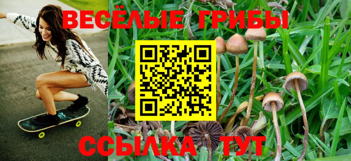 Галлюциногенные грибы Magic Shrooms Кропоткин